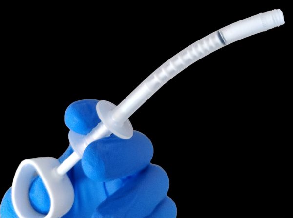 powerbone dental putty leads ethoss