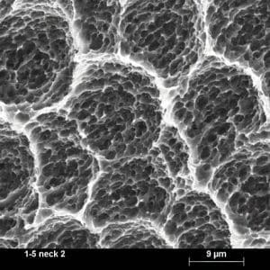 Bioetch surface, Histology, BIC