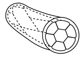 dental sutures from restore surgical