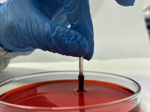 Powerbone Dental Implant with plasma active hydrophilic surface